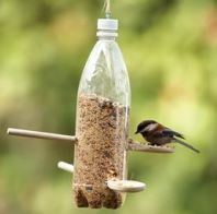 Plastic bottle bird feeder