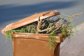 Brown Garden Waste Bin  