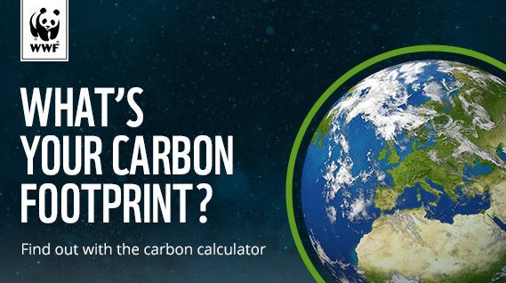 Whats your carbon footprint poster by WWF
