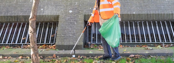 Clean Up Litter Picking