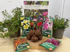 Seed bombs, wildflower seeds and plants