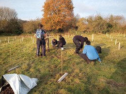 Volunteers help plant tree saplings in Sutton Valence
