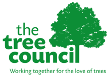 The Tree Council Logo