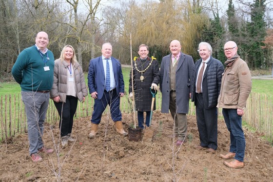 The Mayor, Local Councillors and Maidstone borough council staff planting trees