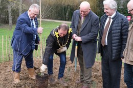 The Mayor, Local Councillors and Maidstone borough council staff planting trees