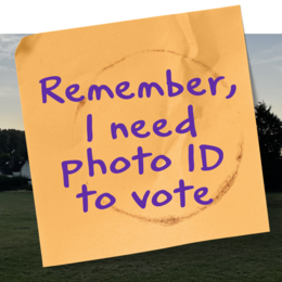 Voter ID