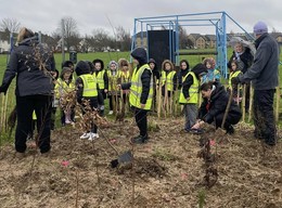 Oaks Primary Academy school children planting trees