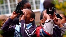 Pupils bird watching with binoculars