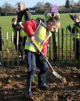 Pupil Planting tree