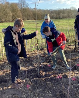 Pupils planting trees