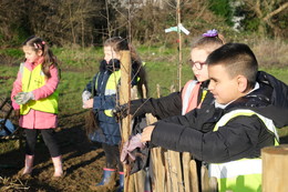 Pupils holding tree whips