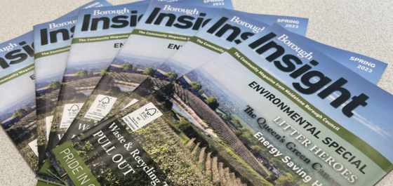 Borough Insight Spring 2023