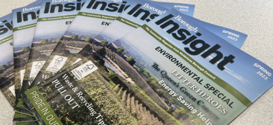 Borough Insight Spring 2023