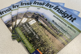 Borough Insight Spring 2023