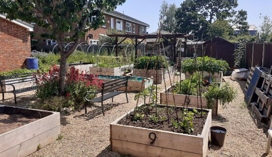 Restored Parkwood allotments