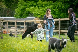 Family at Buttercups Sanctuary for Goats