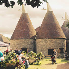 Hops N Harvest Festival