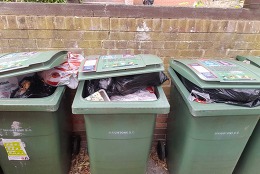 Contaminated Bins