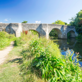 Teston Country Park Bridge