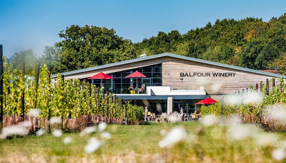 Balfour Winery