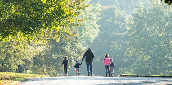 Family Walk at Mote Park