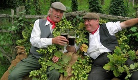 Hops & Harvest Beer Festival