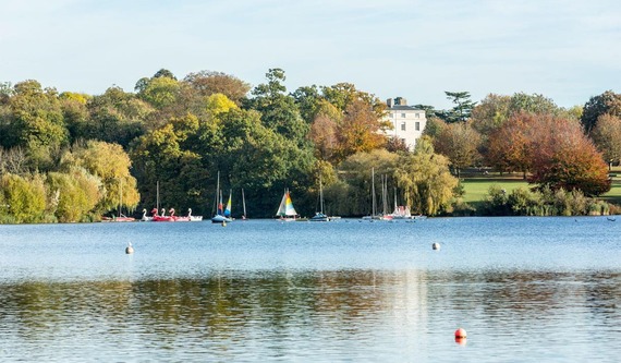 Mote Park