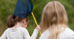 Pond dipping kent Wildlife Trust