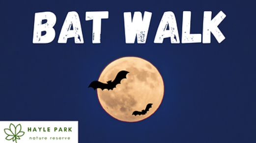 Hayle Park Bat Walk