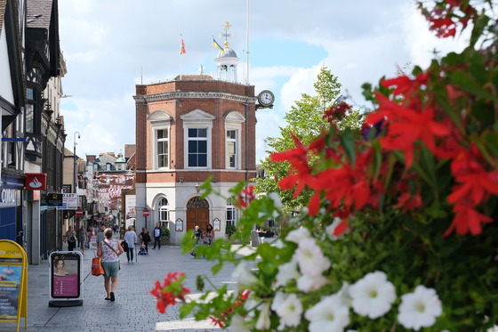 Maidstone Town Hall - with flowers in foreground