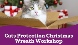 Cats Protection Christmas Wreath Workshop