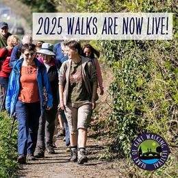 Walking Festival Live