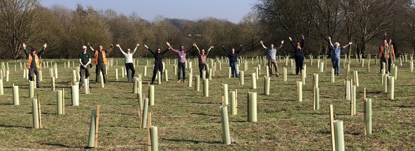 Tree planting volunteers amongst the planted trees on site