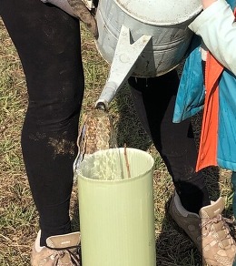 A young volunteer helping to water a sapling with his mum