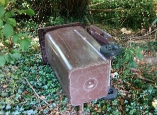 Yelsted Littering resized