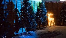 xmas 