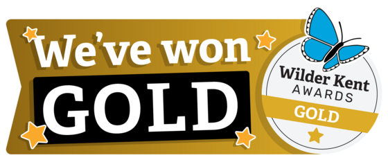 Kent Wildlife Trust logo blue butterfly and text Gold Award