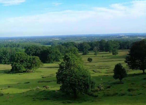 landscape green sand ridge grass and trees with blue sky