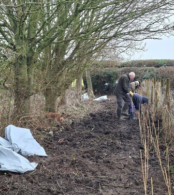 MBAT volunteers planting saplings in muddy field