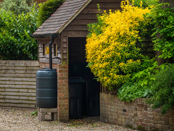 water butt and drain pipe in a garden