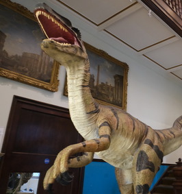 Dinosaur, museum renovations 