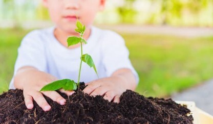 Child with hands in compost and seedling