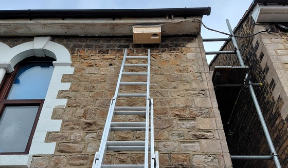 ladder leaning against brick house front with swift box attached under eaves