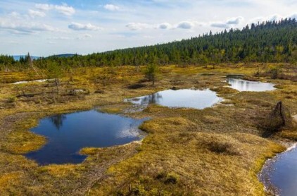 peat bog pools of water with blue sky