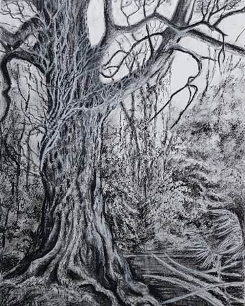 black and white sketch of tree on waters edge