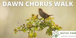 Dawn Chorus Walk with image of a bird