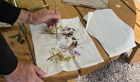 Mindful Walk and Cyanotype Sun Prints at Tyland Barn