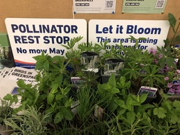 plants and pollinator sign