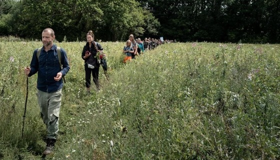 walkers in a line walking through a field on last year's pilgrimage