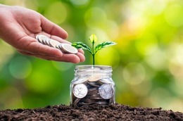 hand placing coins in a jar in nature